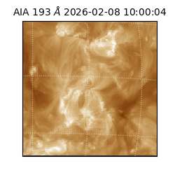 saia - 2026-02-08T10:00:04.843000