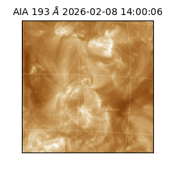 saia - 2026-02-08T14:00:06.599000