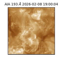 saia - 2026-02-08T19:00:04.843000