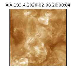 saia - 2026-02-08T20:00:04.846000