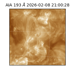 saia - 2026-02-08T21:00:28.835000