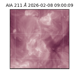 saia - 2026-02-08T09:00:09.626000