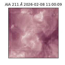 saia - 2026-02-08T11:00:09.630000