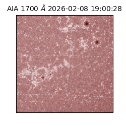 saia - 2026-02-08T19:00:28.718000