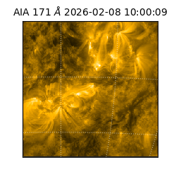 saia - 2026-02-08T10:00:09.349000