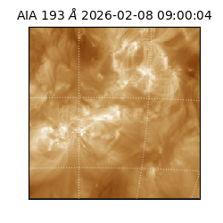 saia - 2026-02-08T09:00:04.843000