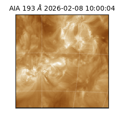 saia - 2026-02-08T10:00:04.843000