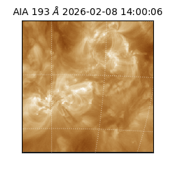 saia - 2026-02-08T14:00:06.599000