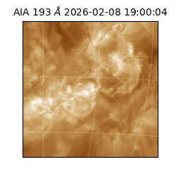 saia - 2026-02-08T19:00:04.843000