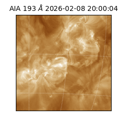 saia - 2026-02-08T20:00:04.846000