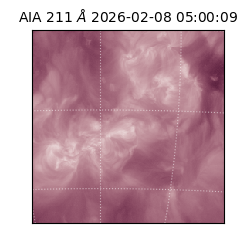 saia - 2026-02-08T05:00:09.626000