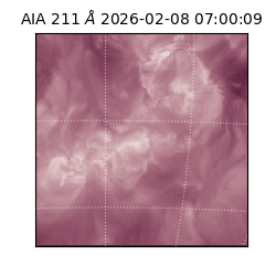 saia - 2026-02-08T07:00:09.632000