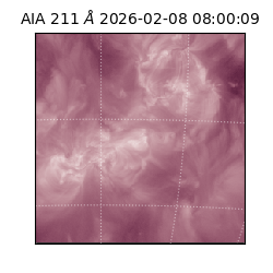 saia - 2026-02-08T08:00:09.625000