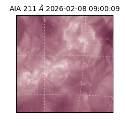 saia - 2026-02-08T09:00:09.626000