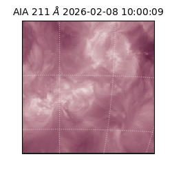 saia - 2026-02-08T10:00:09.626000