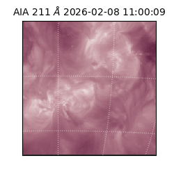saia - 2026-02-08T11:00:09.630000