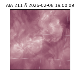 saia - 2026-02-08T19:00:09.632000