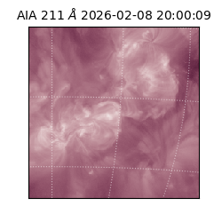 saia - 2026-02-08T20:00:09.633000