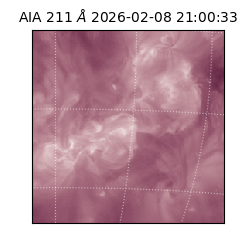 saia - 2026-02-08T21:00:33.619000