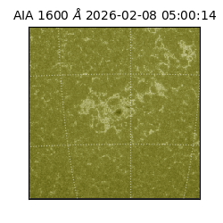 saia - 2026-02-08T05:00:14.129000