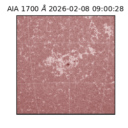 saia - 2026-02-08T09:00:28.718000