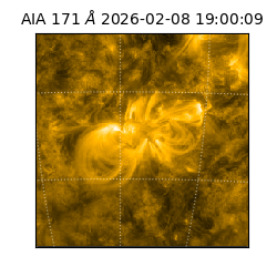 saia - 2026-02-08T19:00:09.349000