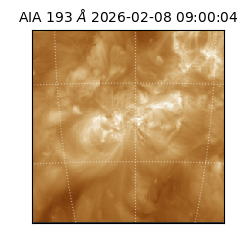 saia - 2026-02-08T09:00:04.843000