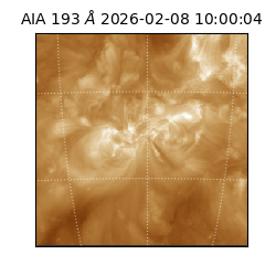 saia - 2026-02-08T10:00:04.843000