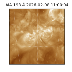 saia - 2026-02-08T11:00:04.843000