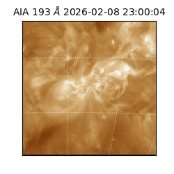 saia - 2026-02-08T23:00:04.846000