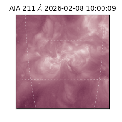 saia - 2026-02-08T10:00:09.626000