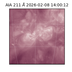 saia - 2026-02-08T14:00:12.606000