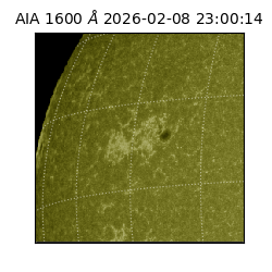 saia - 2026-02-08T23:00:14.126000