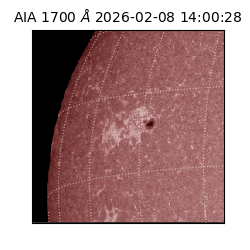 saia - 2026-02-08T14:00:28.717000