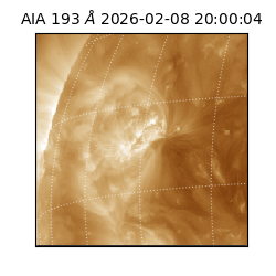 saia - 2026-02-08T20:00:04.846000
