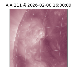 saia - 2026-02-08T16:00:09.625000