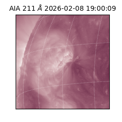 saia - 2026-02-08T19:00:09.632000