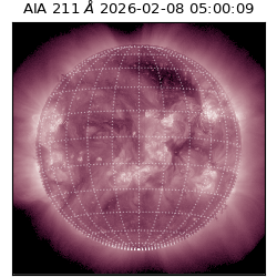 saia - 2026-02-08T05:00:09.626000
