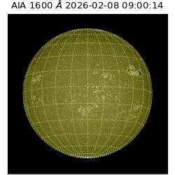 saia - 2026-02-08T09:00:14.133000