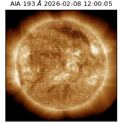 saia - 2026-02-08T12:00:05.232000
