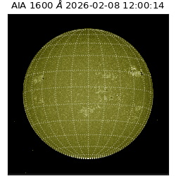 saia - 2026-02-08T12:00:14.126000