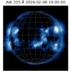 saia - 2026-02-08T19:00:00.632000