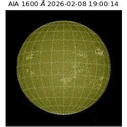 saia - 2026-02-08T19:00:14.126000