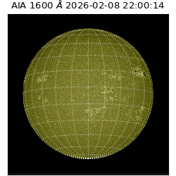 saia - 2026-02-08T22:00:14.125000