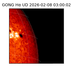 gong - 2026-02-08T03:00:02