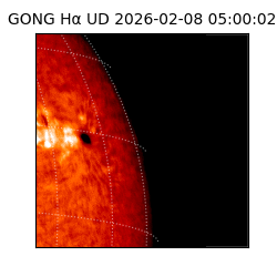 gong - 2026-02-08T05:00:02