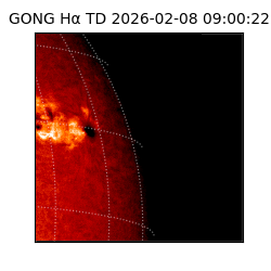 gong - 2026-02-08T09:00:22