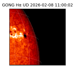 gong - 2026-02-08T11:00:02