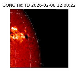 gong - 2026-02-08T12:00:22