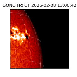 gong - 2026-02-08T13:00:42